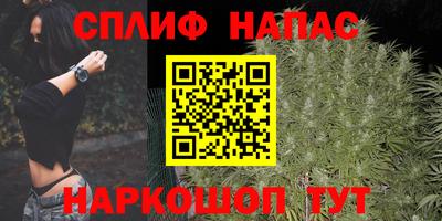 шишки Бузулук