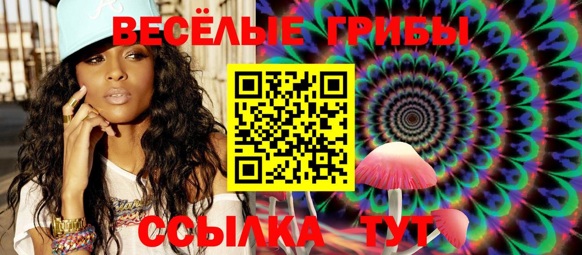 Чапаевск  Псилоцибиновые грибы мухоморы  наркотики  Вход с VPN 