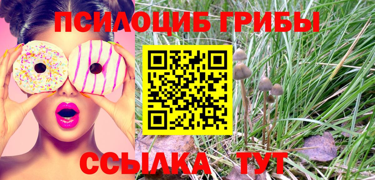 Галлюциногенные грибы ЛСД Чапаевск